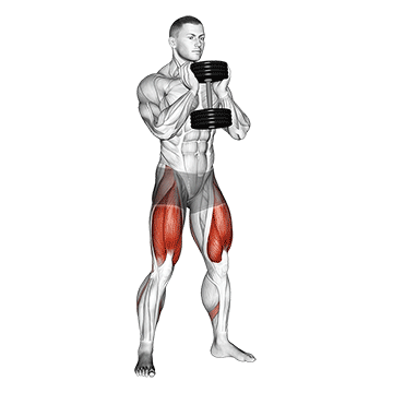 Goblet squat exercise demonstration